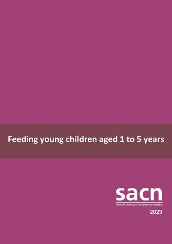 SACN-Feeding-young-children-aged-1-to-5-full-report