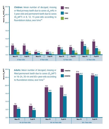 Teeth Numbers Chart Australia