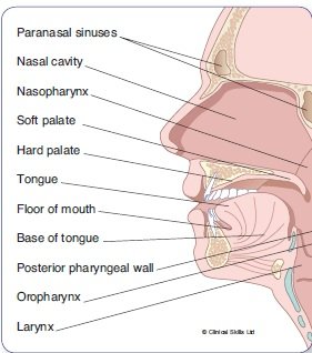 Oral Cancer