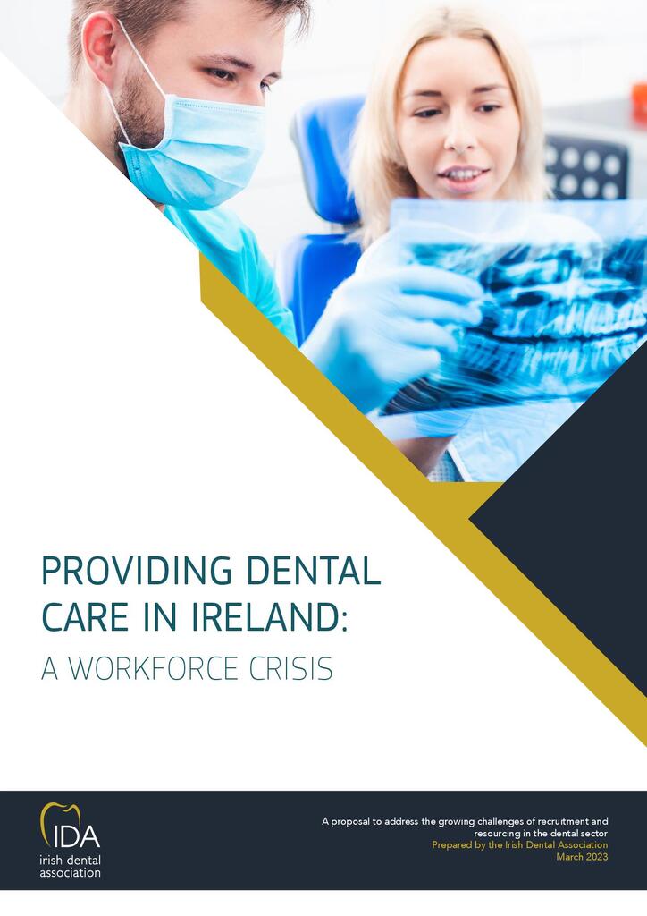 IDA Workforce Plan Final for dentists 2023 Dental Health Foundation