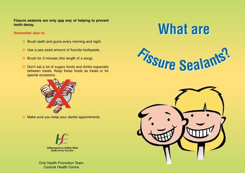 Publication cover - Fissure sealants 