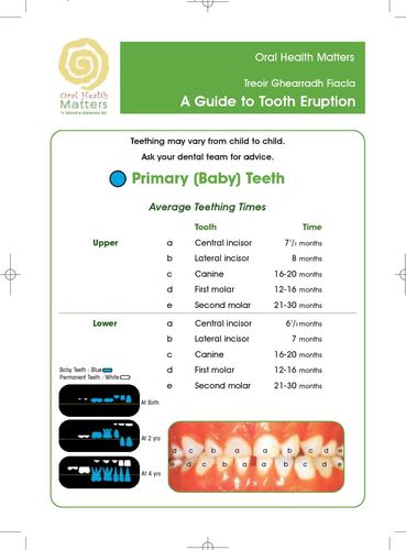 Publication cover - Tooth Development