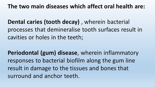 Oral Health Disease